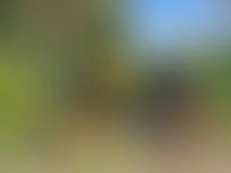 Lankeleisi MG600 Plus 2025 – Premium-tason sähköfätti Samsungin akulla