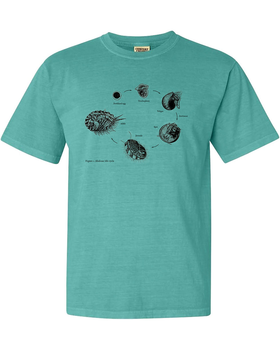 Thumbnail: Abalone Life Cycle 100% Cotton T-shirt