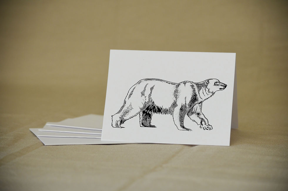 Thumbnail: Polar Bear Folding Card(s)