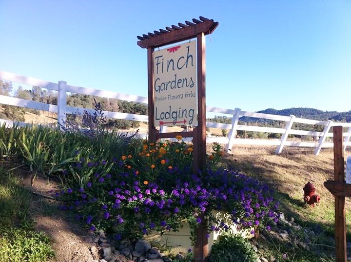 Relax Reflect Rejuvenate Finch Gardens United States