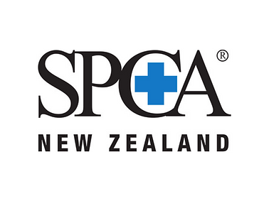 FacebookInstagram posts (1).png