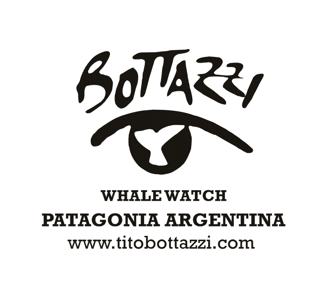 LOGO gif.gif