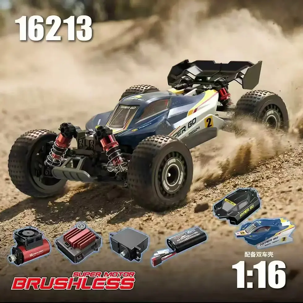 MJX Hyper Go 16213 1/16 Scale Brushless 4WD RC Buggy India