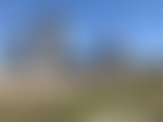 Pilgrim’s Pride Feed Mill