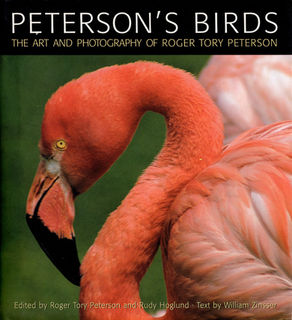 Birds.jpeg
