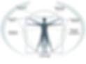davinci1.webp