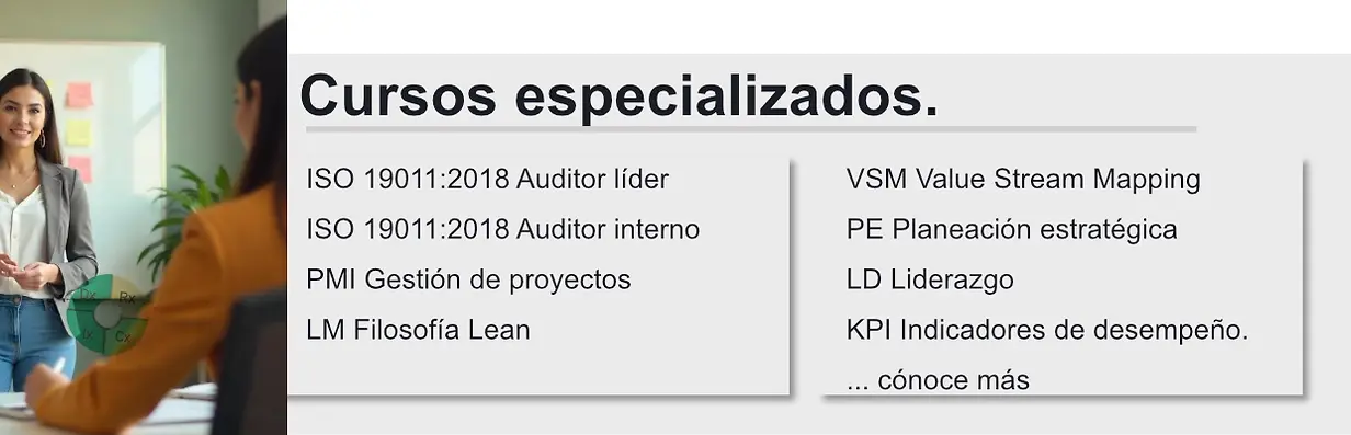 Cursos especializados