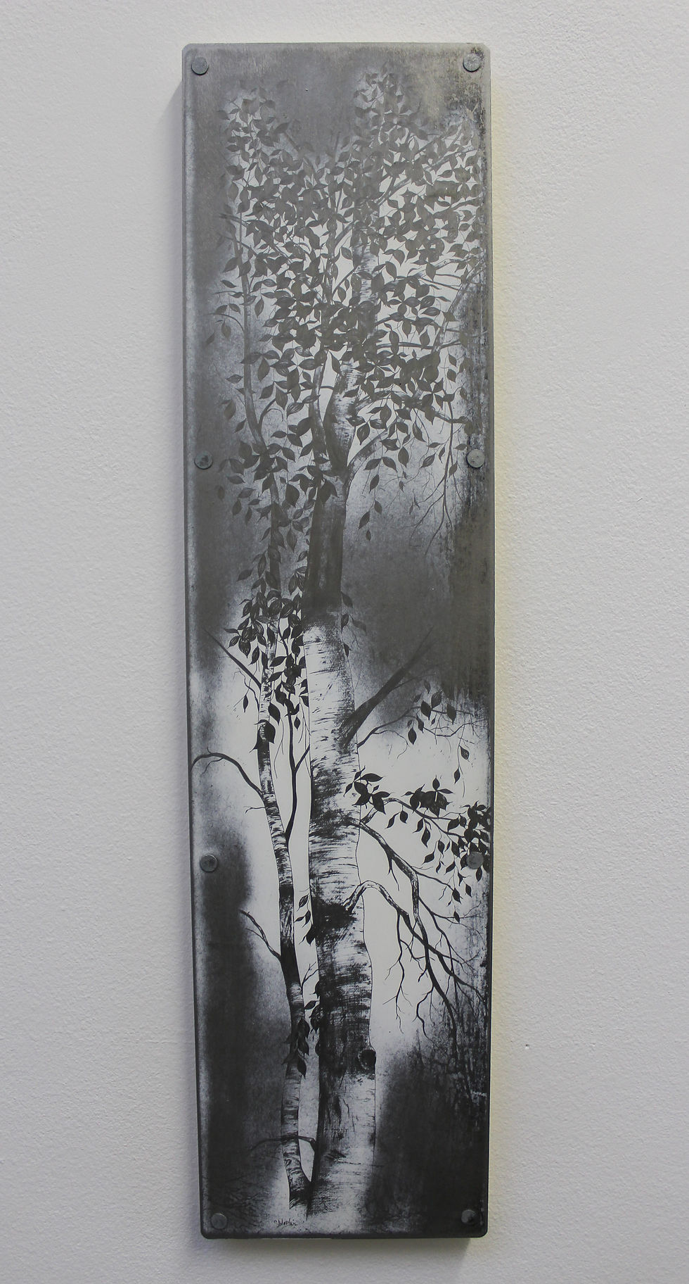 Single Silver Birch