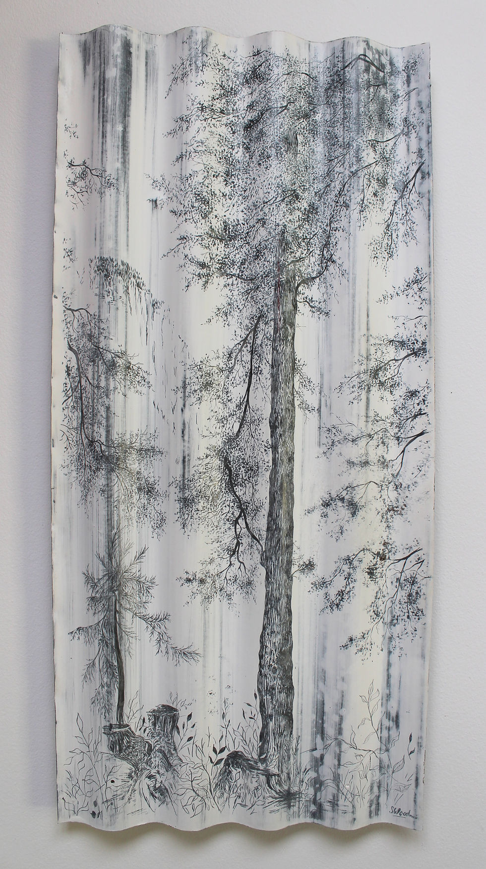 Grand Fir
