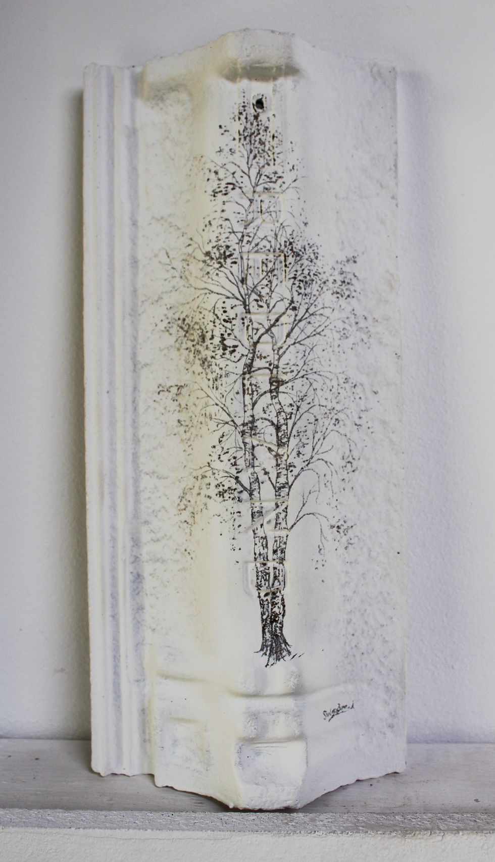 Gentle Birch