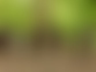 Should Paintball be an Olympic sport? 