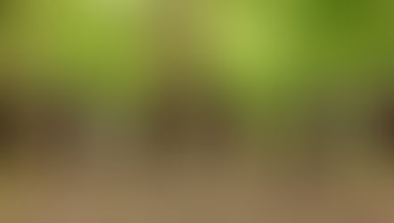 Should Paintball be an Olympic sport? 