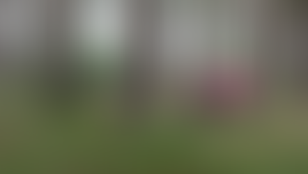 Connecting to Nature with Forest Running is Helping Rosie Manage Her Parkinson’s