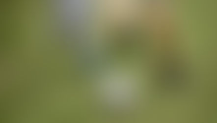 Supporting youth in low-income neighbourhoods to stay active through sport