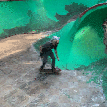 zander loop-back view_1.gif