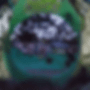 zander loop night_1.gif