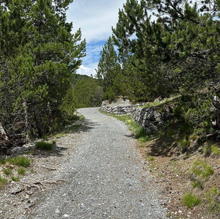 Il sentiero di "Strosc"