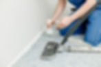 Carpet Re-Stretching with Wildrose_edited.jpg