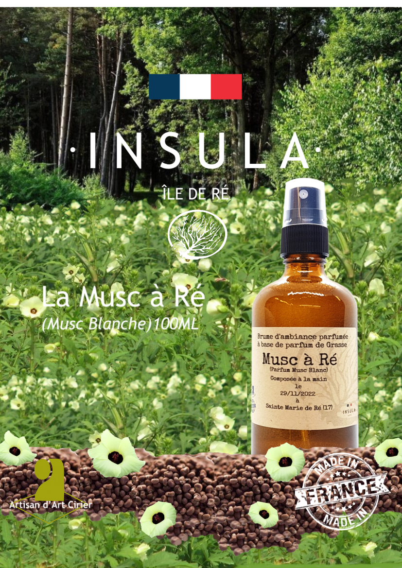 Miniatura: Brumes d'Ambiances