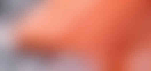 fresh Tasmanian salmon