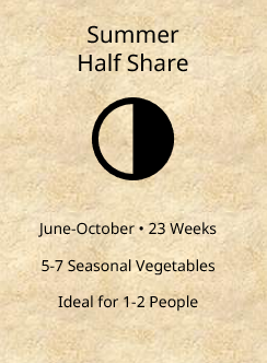 Summer CSA Half Share