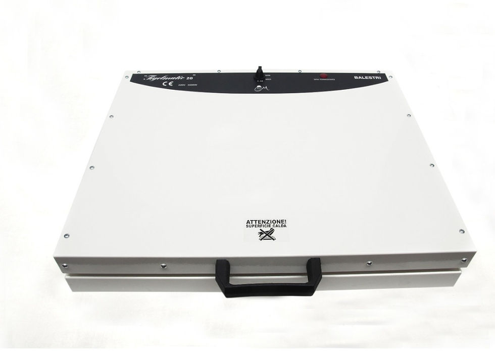 tigelliera elettrica 10 tigelle pietra refrattaria tradizione emiliana tostiera