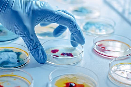 The Vital Role of Pathologists in Modern Medicine and Disease Diagnosis
