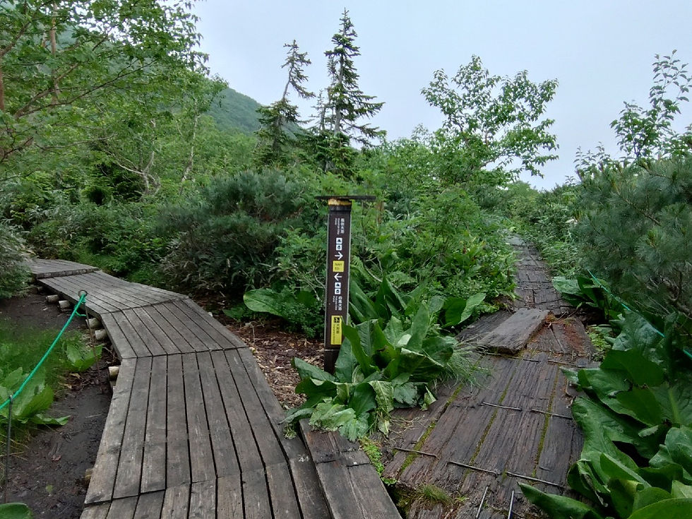 風吹大池分岐で引き返し