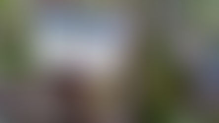 まめうち平まで降りた