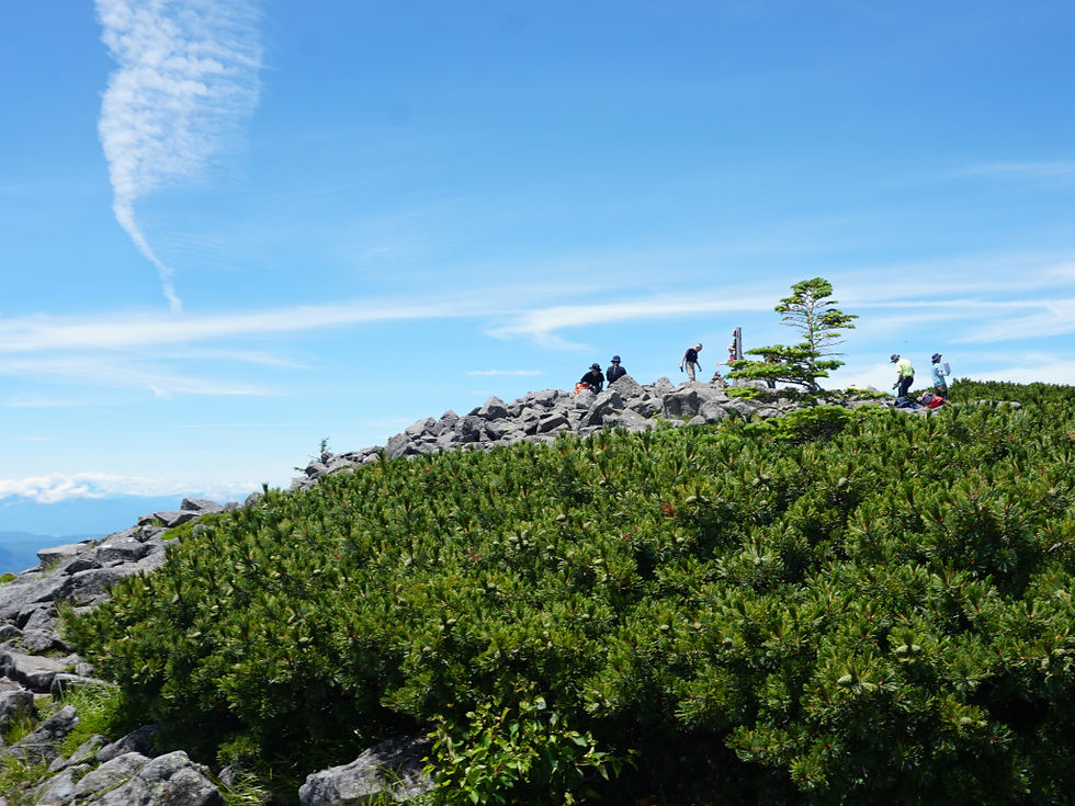 編笠山の山頂にほぼ到着