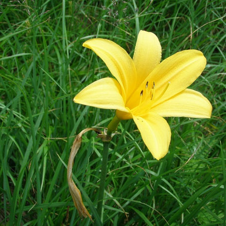 奮闘登山スタート