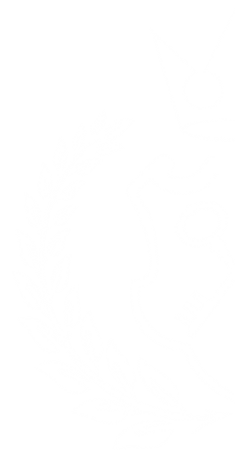 logo transparente-03.png