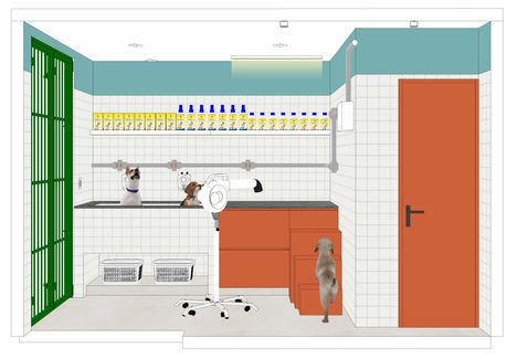 Reforma na creche de pets