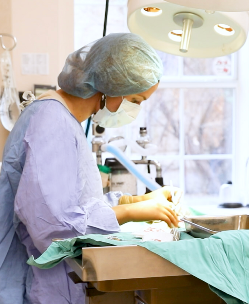 Eastlake Veterinary Hospital