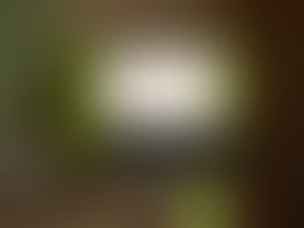 Deliver your messages in a virtual world!