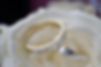 480441365_1043831417786863_904133049684581771_n.jpg
