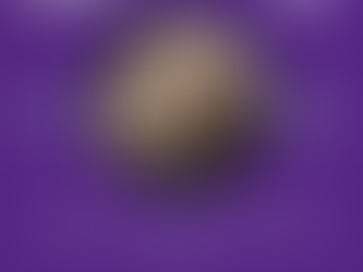 Events we are mentioning on BBC Radio Newcastle & Tees this week - 12th - 18th February