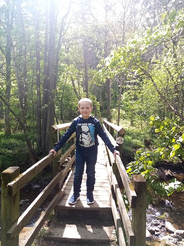 Hamsterley Forest with Kids