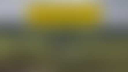 A Summer of Fun in North Yorkshire & York - What's On