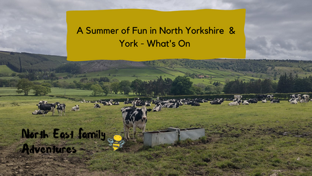 A Summer of Fun in North Yorkshire & York - What's On