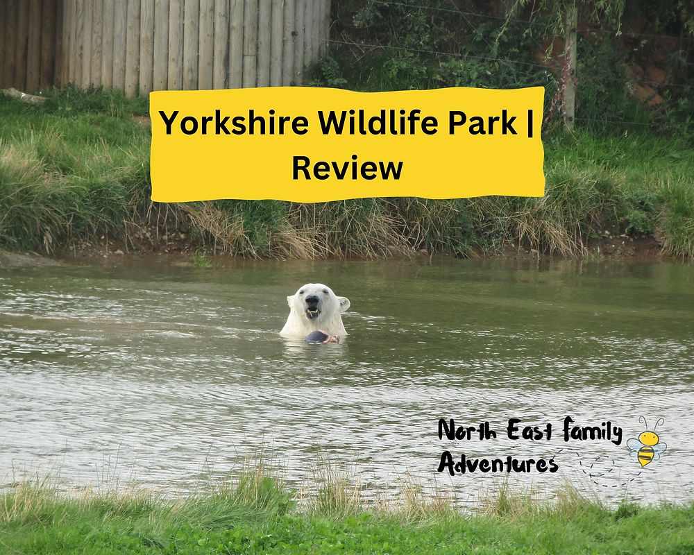 Yorkshire Wild Life Park Review