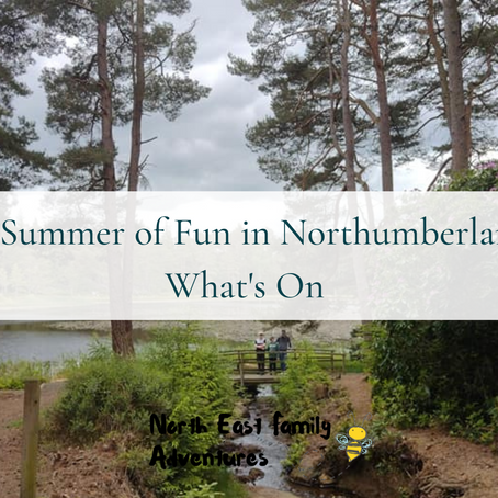 A Summer of Fun in Northumberland - What's On