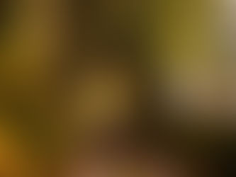 Next Stop...ENGLAND!