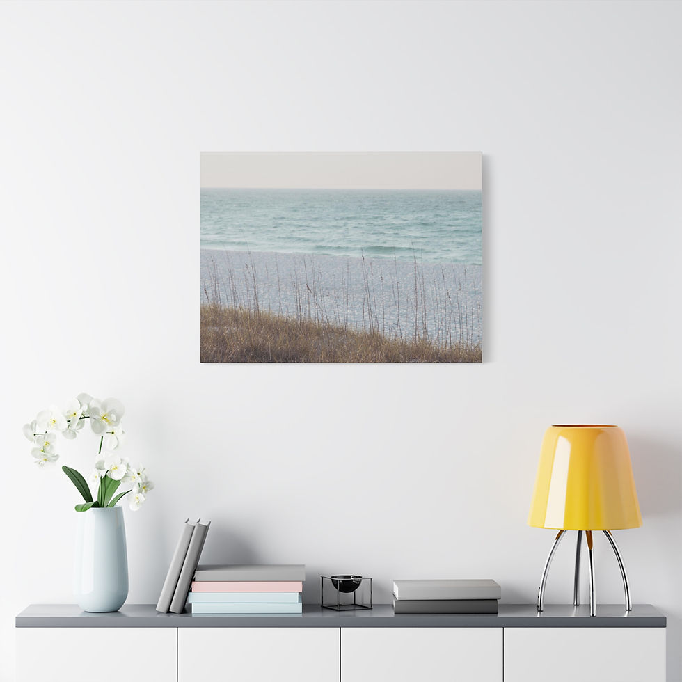 Thumbnail: Navarre Beach Dune Canvas 