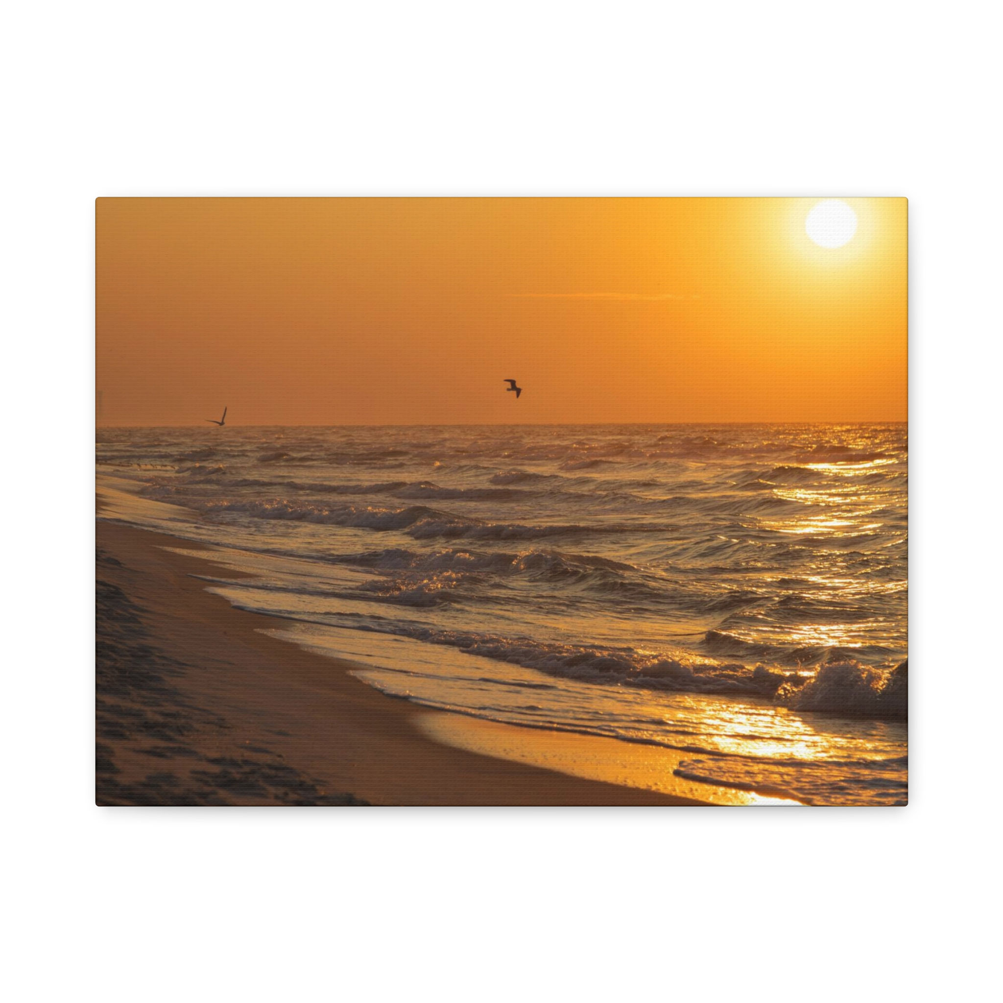 Sunrise Birds Navarre Beach Canvas 