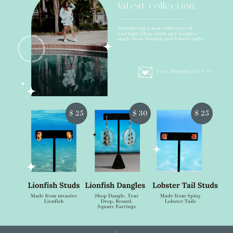 Dive into our New Products!