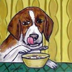 Viral de perro comiendo cereal con cuchara