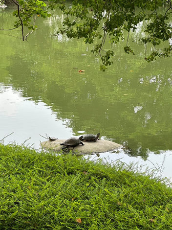 LINE_ALBUM_0829昆蟲館🐛動物館_240917_1