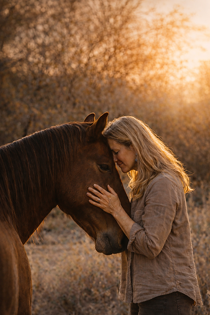 sunset connection.png