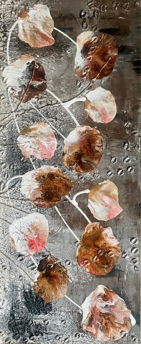24129 50-120cm